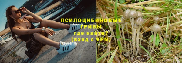 амф Арсеньев